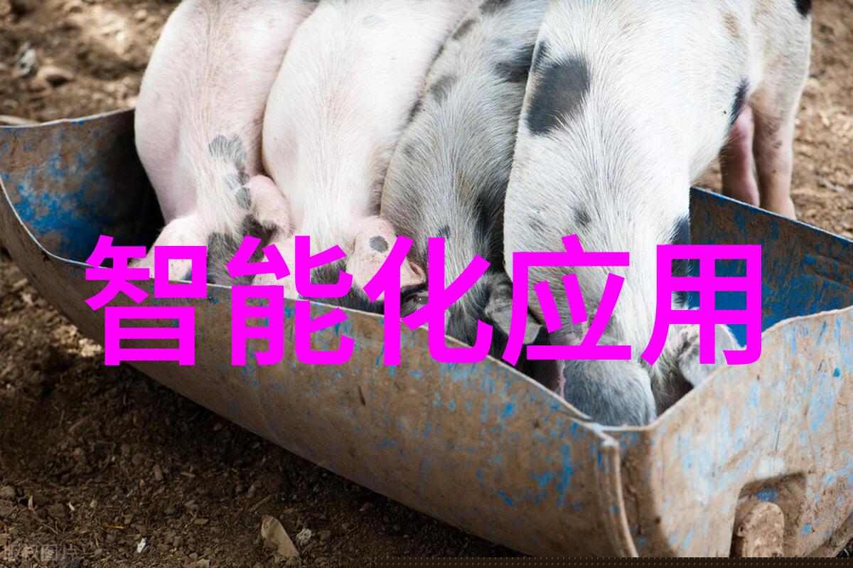 盘点CES2016高科技智能安全小器件